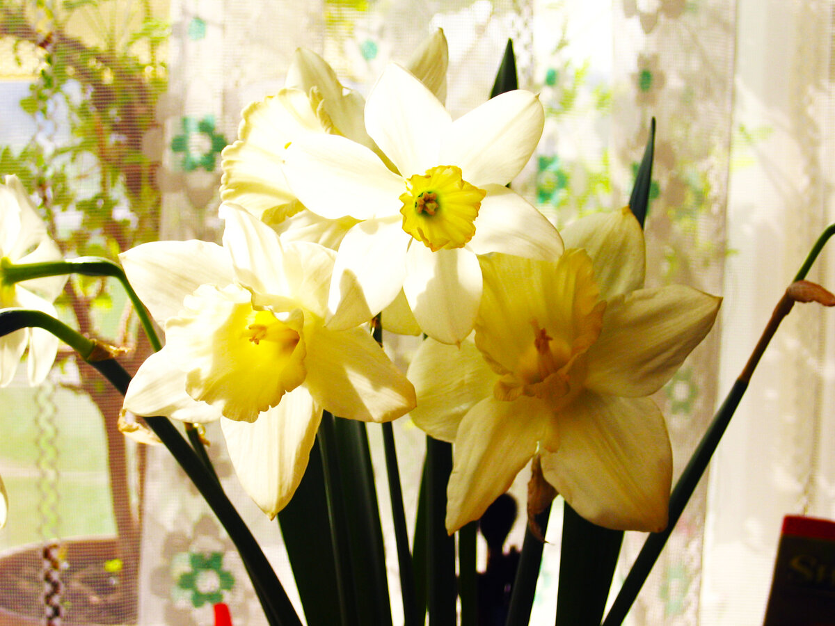 Фото из личного архива 