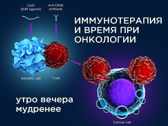 Лечение рака иммунотерапией