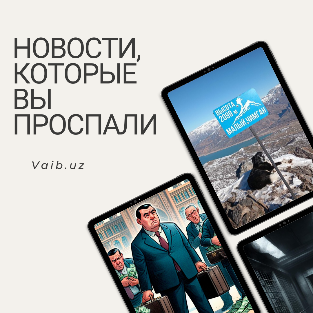 Смотрящий за Чимганом, худеть опасно и экологические гетто. Новости  Узбекистана, которые вы проспали | Vaib.uz - Новости Узбекистана на вайбе |  Дзен