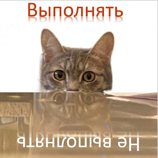 Только вы решаете