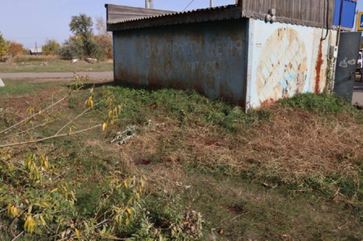    Омский суд не стал облегчать приговор мужчине, который зарезал свою жену