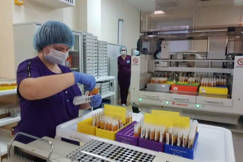    Специалисты из сферы медицины смогут быстро найти работу в Иркутской области Алиса ТИТКО