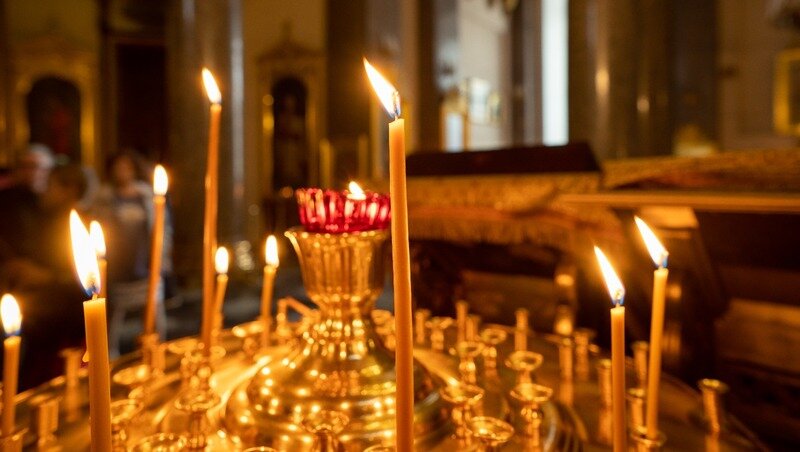 Фото: @muravev / freepik.com 