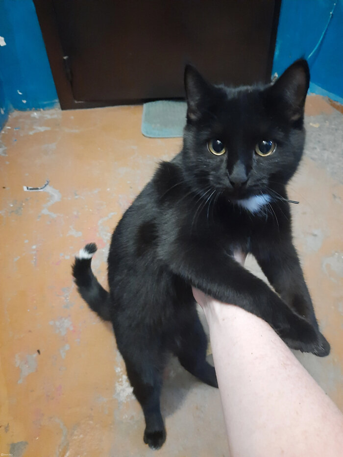 Опоздал в школу и что из этого вышло | Пикабу | Дзен