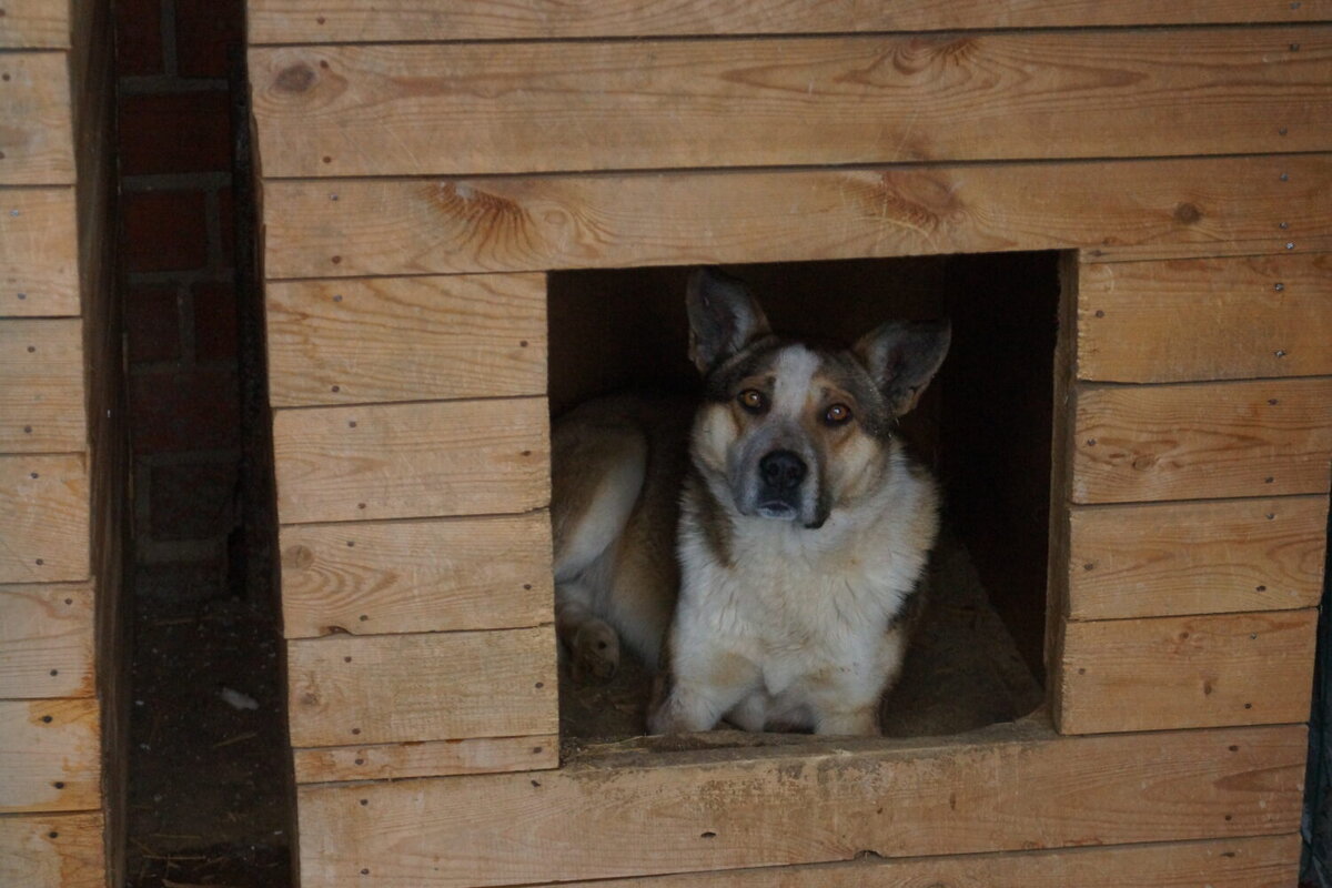 запомни не бывает сто друзей но есть один. случайных встреч на свете не бывает картинки. высказывания о случайных встречах. подруге на радость. про настоящих друзей.