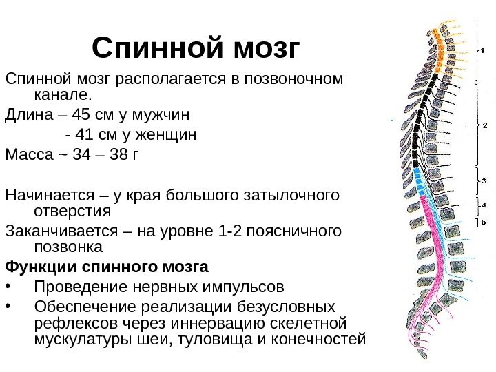 Из общедоступных источников