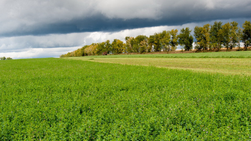     Село. Техника. Дмитрий Лямзин