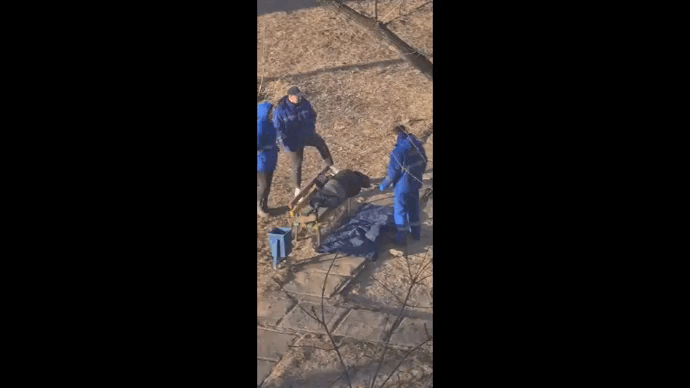 Видео: t.me/barakholka34 