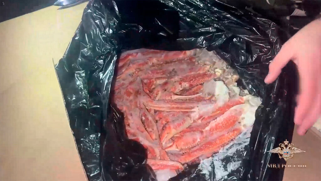    Фото: МВД РФ