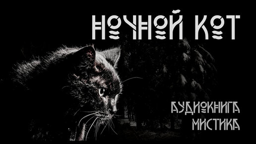 Ночной кот. Сергей Стэн | Мистика. ИсторииТО