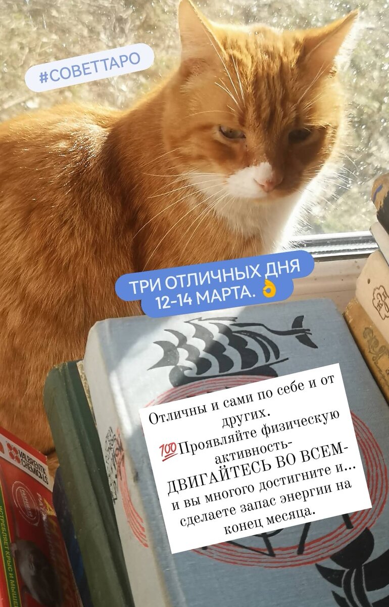 Похоже, сегодня советы из книги судеб. 😜