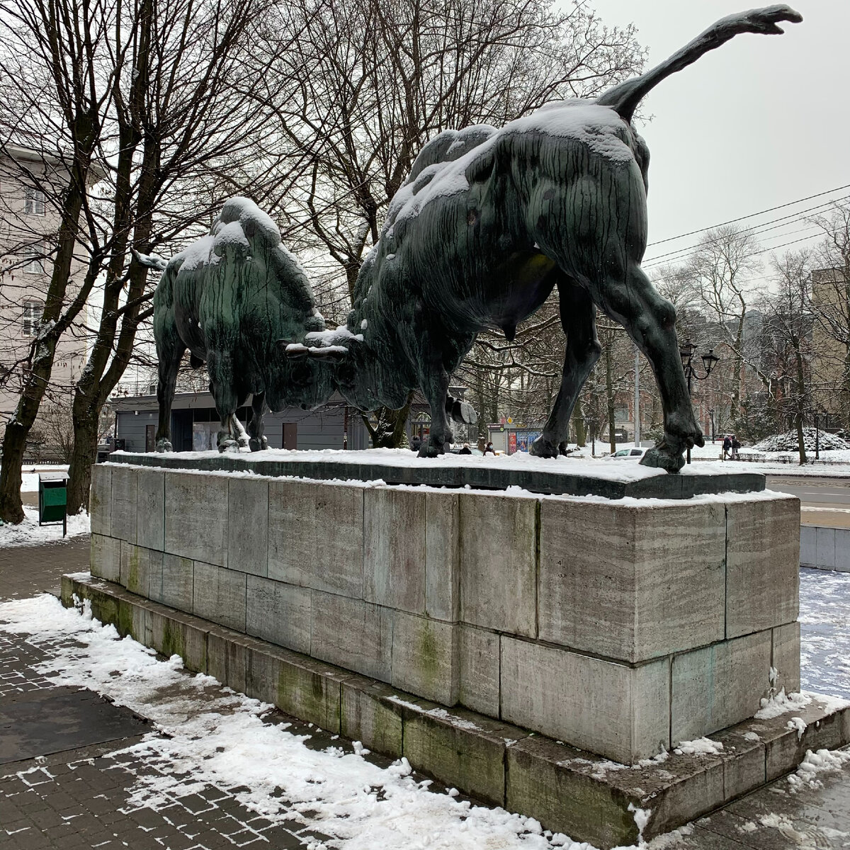 Хвост=рука?