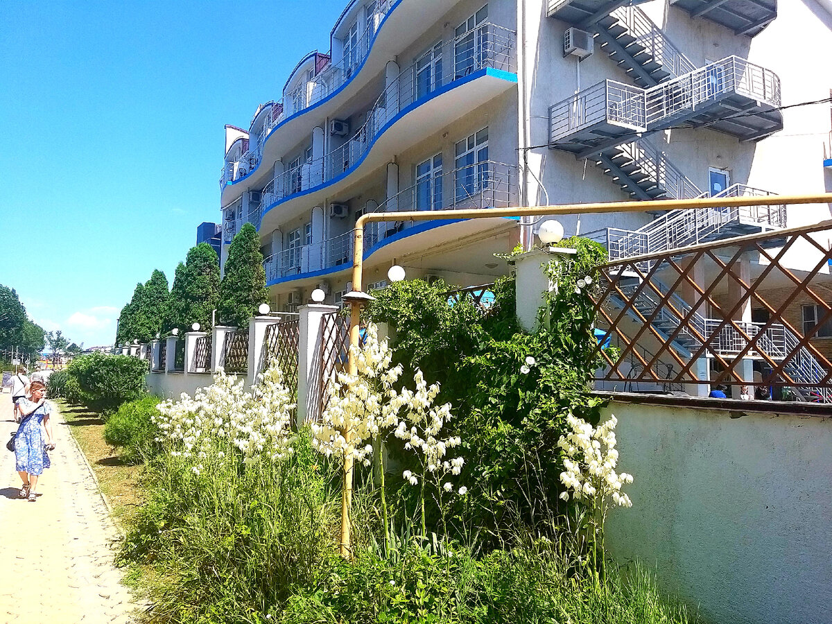 Пионерский проспект, Анапа, фото автора