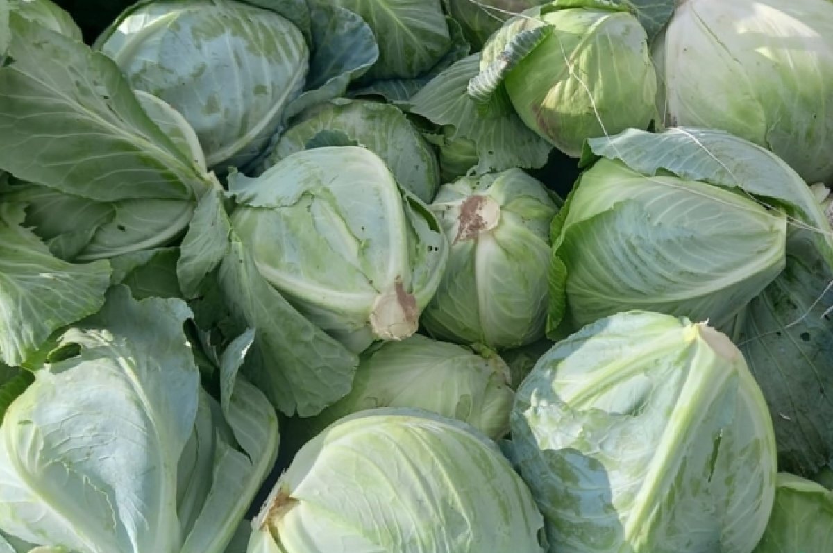    В Калуге пройдет сельскохозяйственный семинар