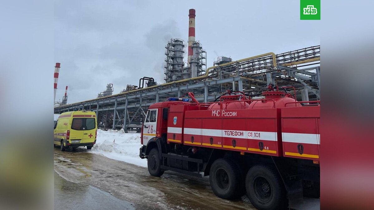    Фото: glebnikitin_nn / t.me