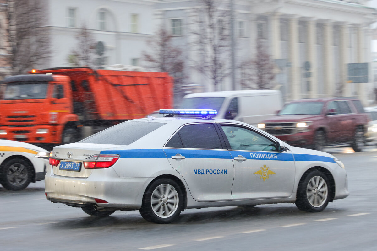 фото Petrov Sergey/news.ru 