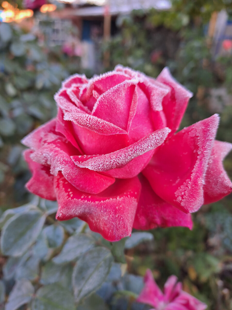 Для настроения