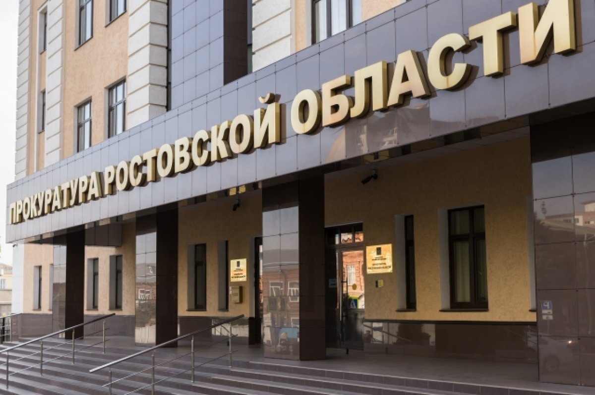    Прокуратура начала проверку после публикаций о нападении собаки на девочку