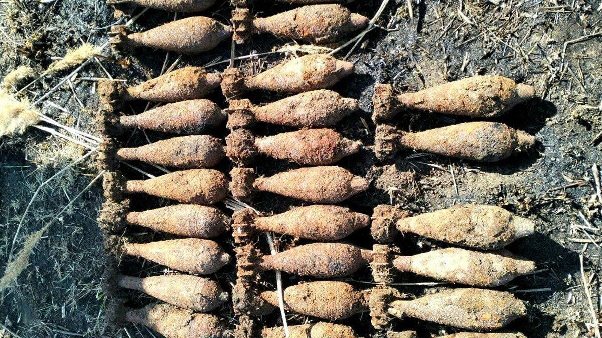    На участке жителя Кубани обнаружили 26 минометных снарядов времен ВОВ. Фото: t.me/rosgvard_krasnodar