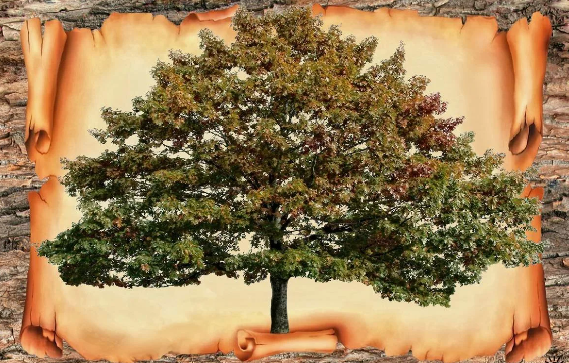 Рисунок с Яндекс. Картинки