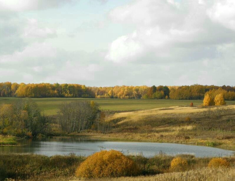 А издалека вполне милый левитановский вид. Не хочу портить статью фотографиями с этим бессовестным  монстром.