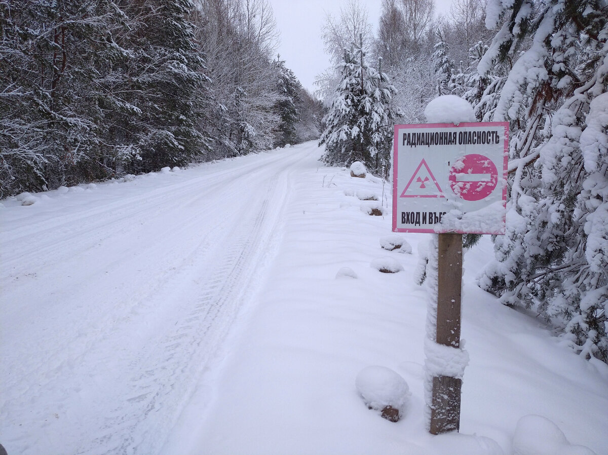 Дорога в зоне.