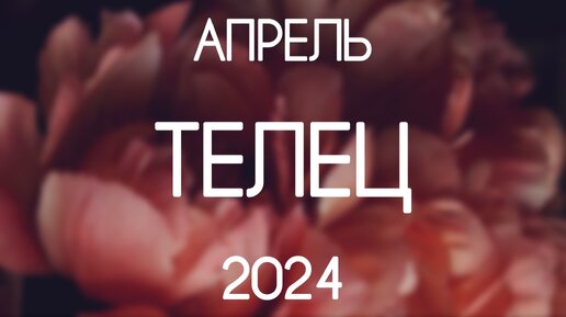 Телец. События Апреля 2024. Гороскоп на картах Таро