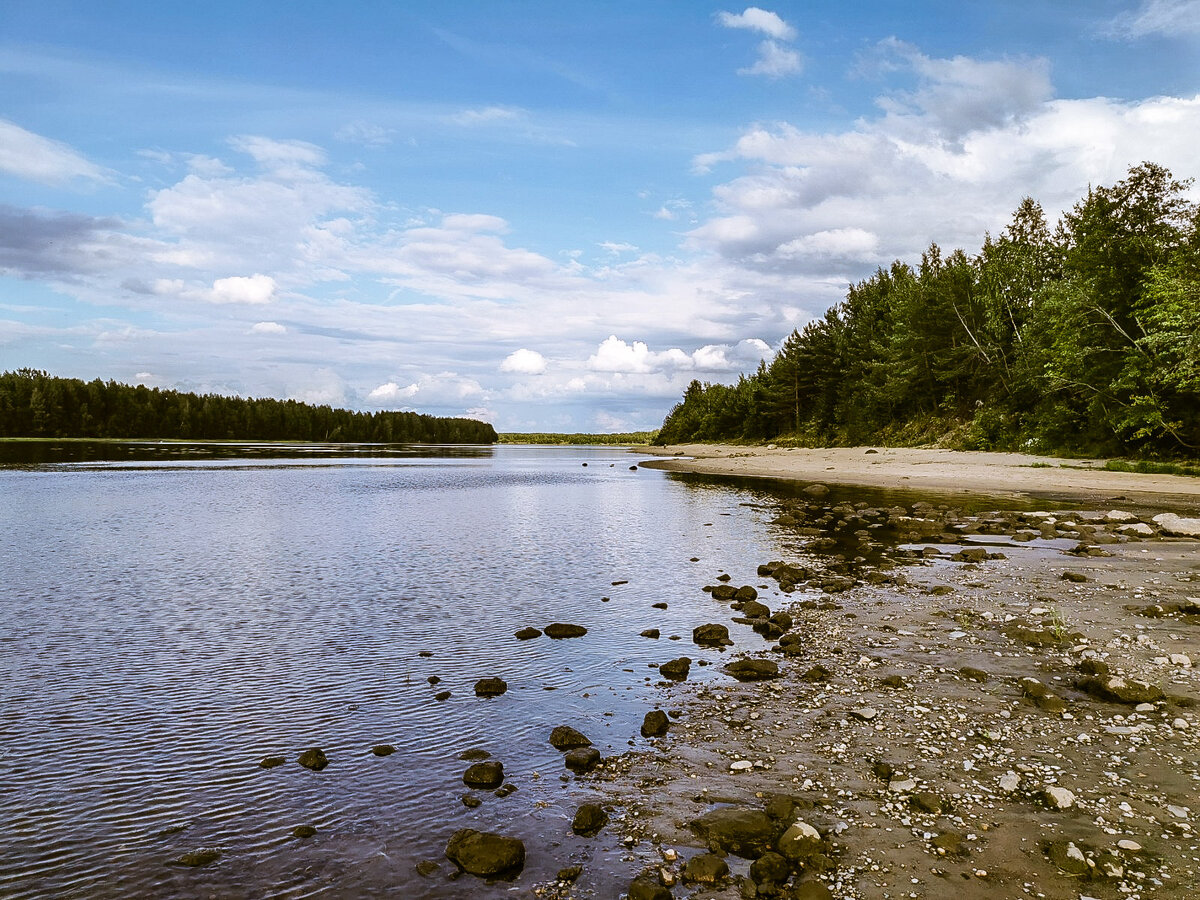 Берег р. Свирь в Ленинградской области