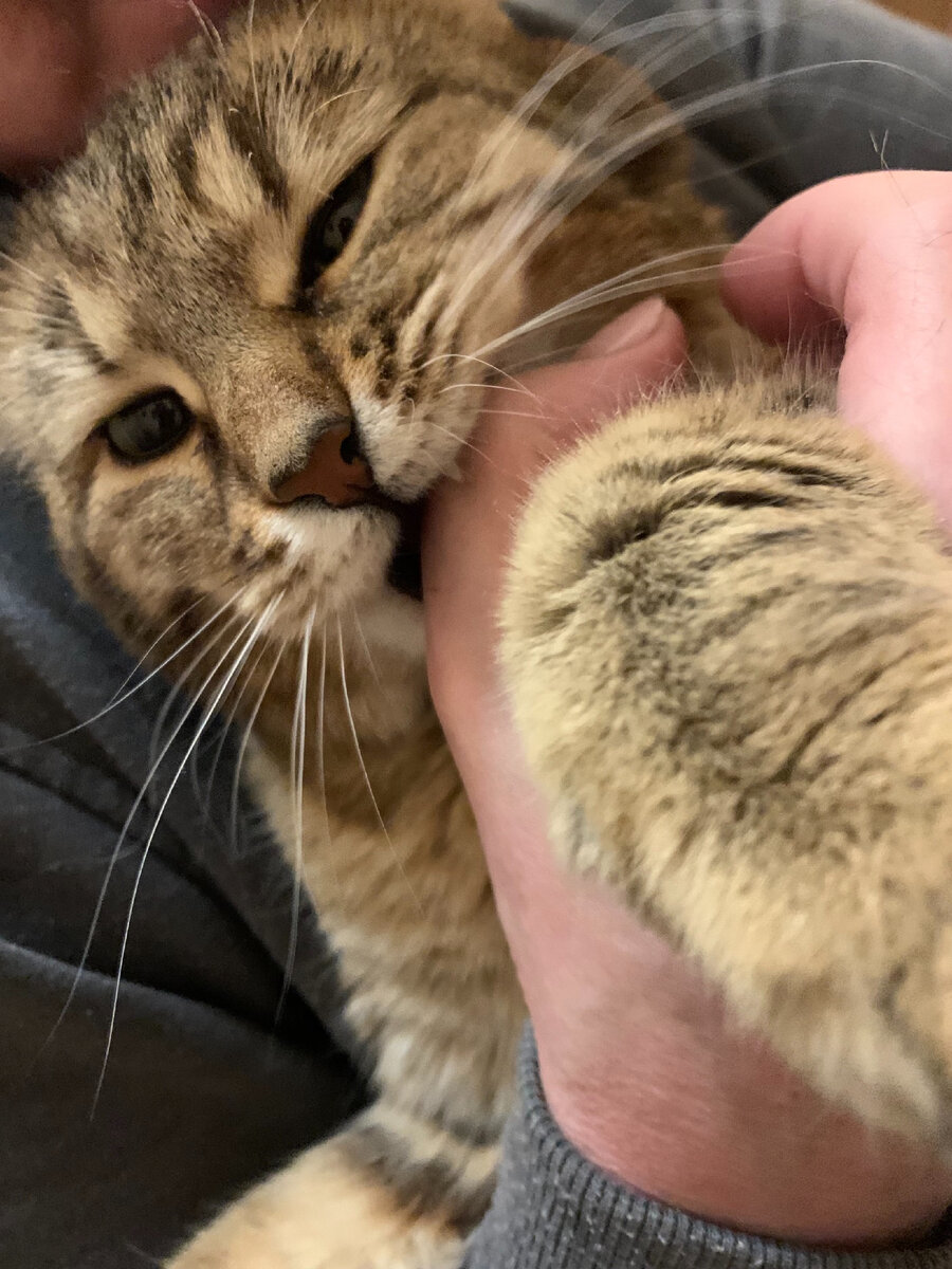 А просто так, ни о чем! Просто одно весеннее утро) Фото из личного архива