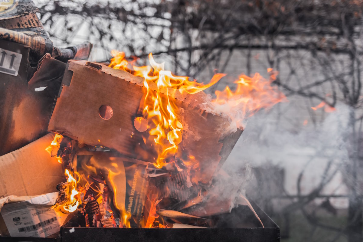    Фото: AYDO8 / Shutterstock.com