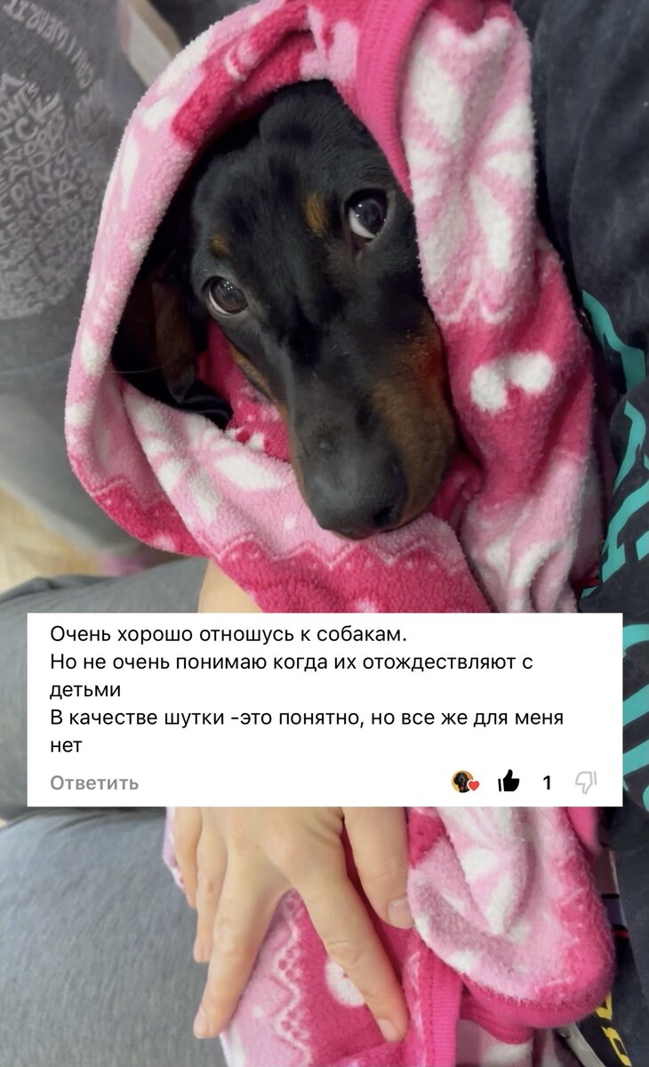 Комментарий заставил крепко задуматься