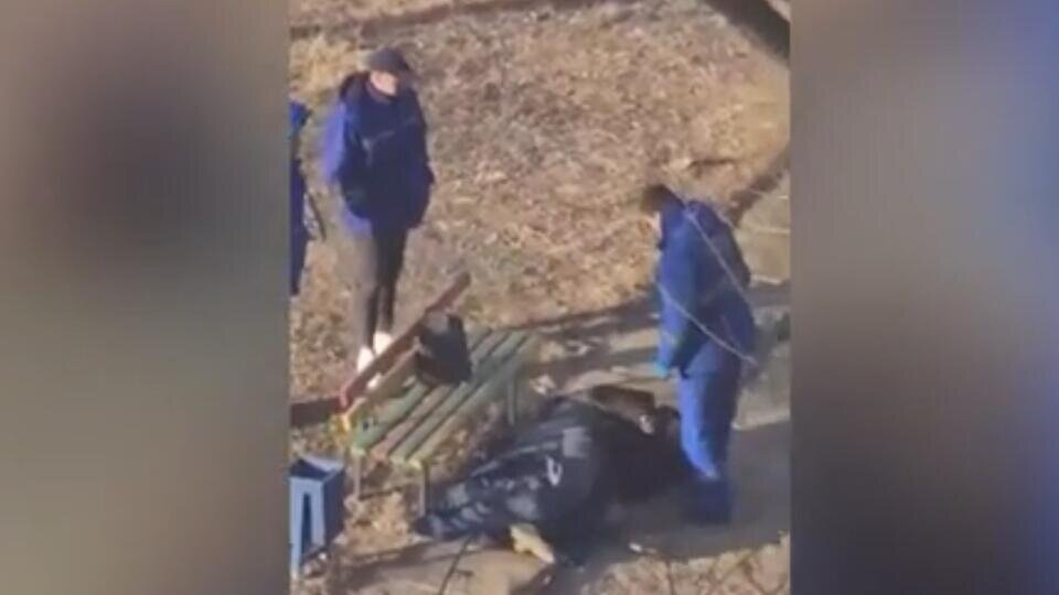 Фото: скриншот видео 