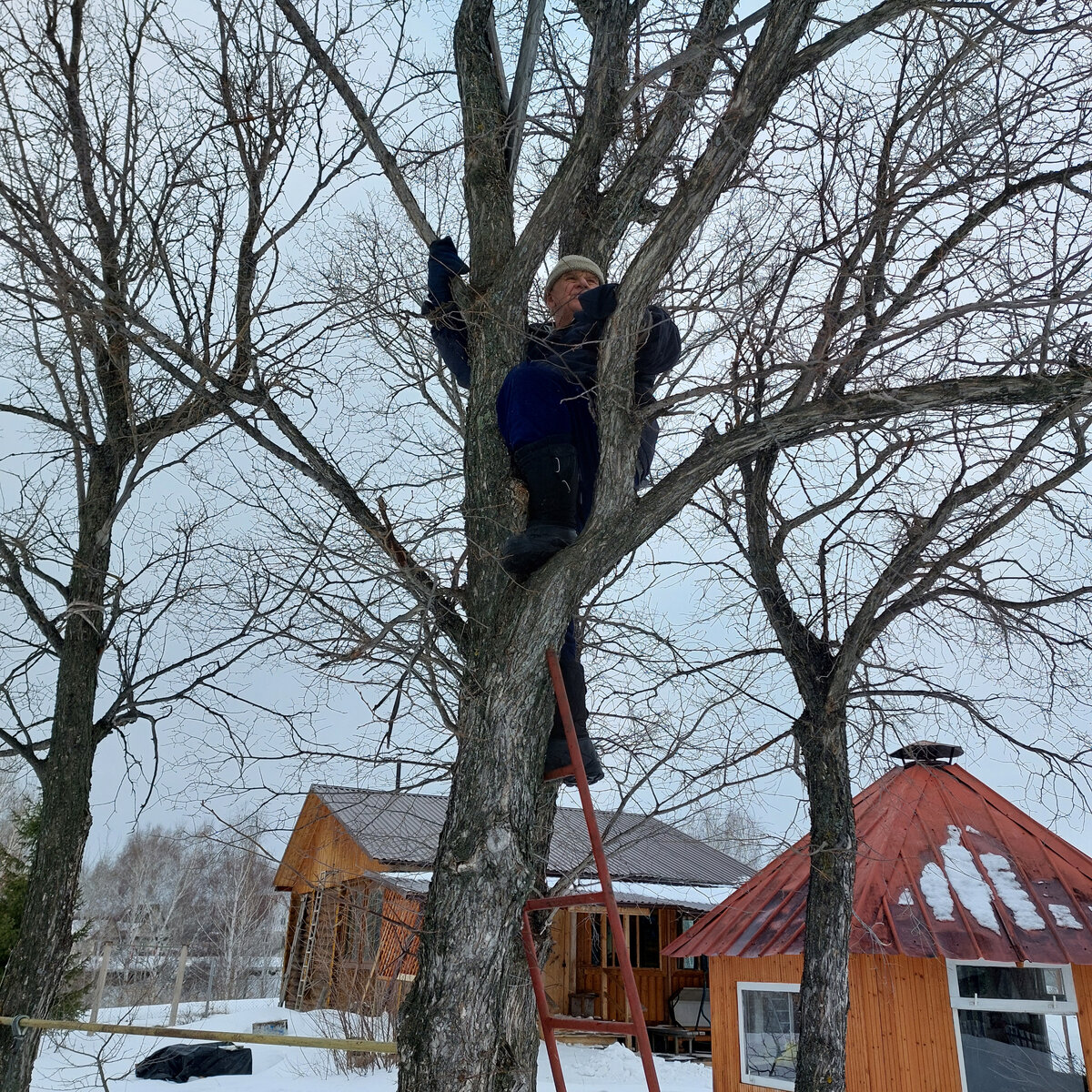 Хочется назвать это фото: где-то гуси пролетели...