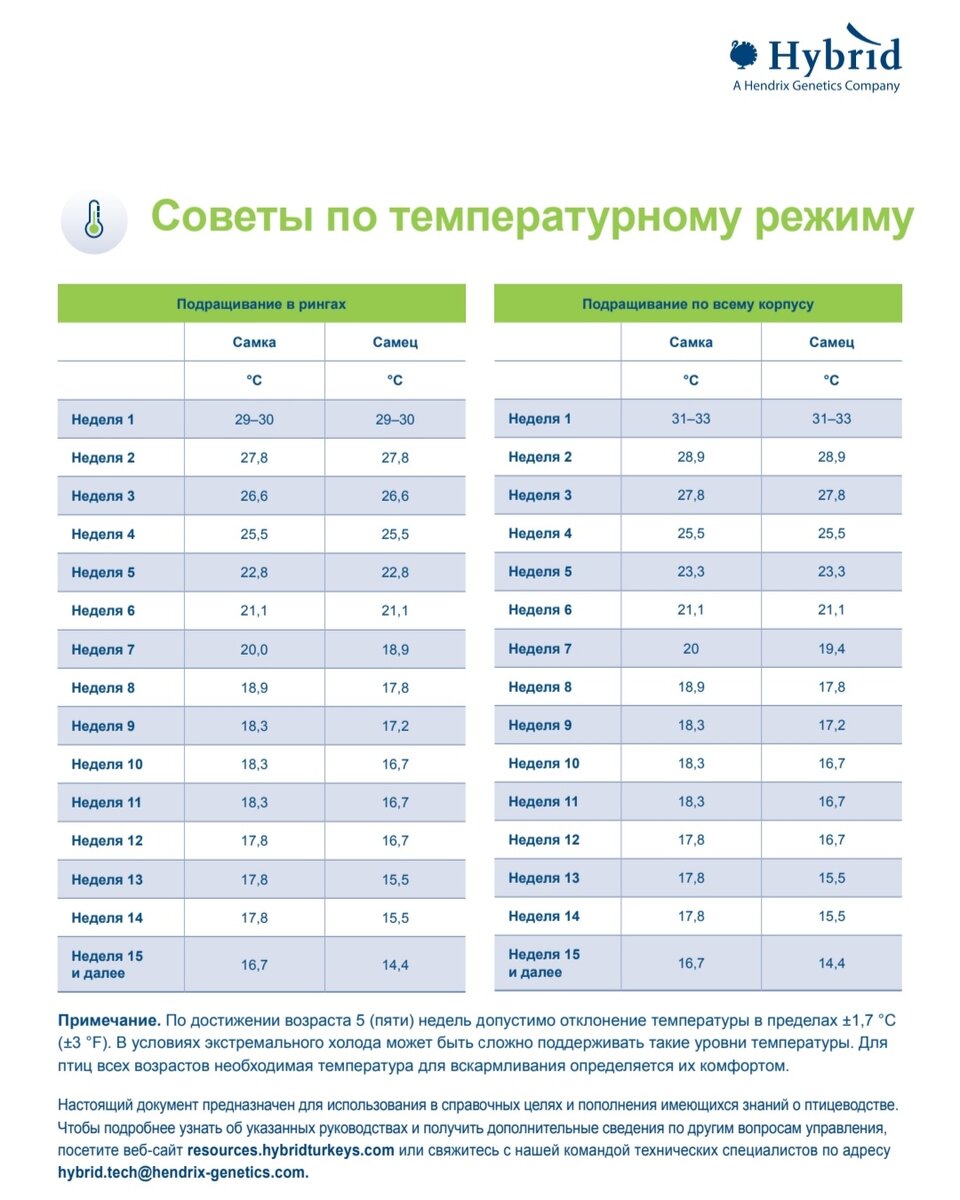 Температурный режим. Начинаем с 37°С в пятне нагрева и снижаем на градус ежедневно. Температура зависит от устройства брудера, температуры "за бортом", устройства вентиляции.