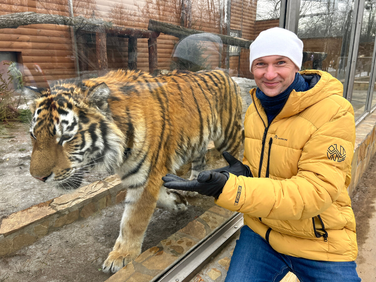 Ленинградский зоопарк: Нашли здесь ребёнкину мечту! Три зверя, которые нас  удивили и обед в зоопарке | Зоркий | Дзен