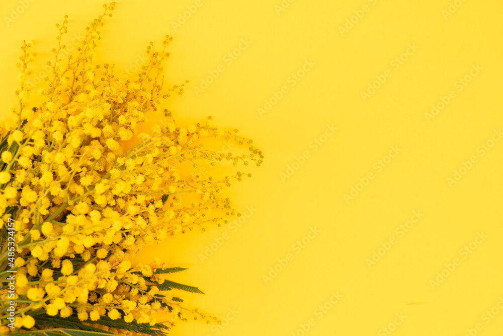 Фото: neirfy/stock.adobe.com