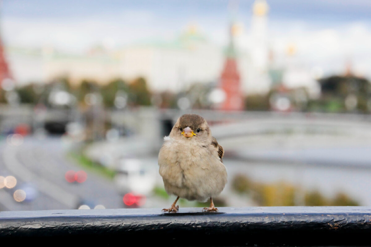 Фото: Komsomolskaya Pravda/Global Look Press