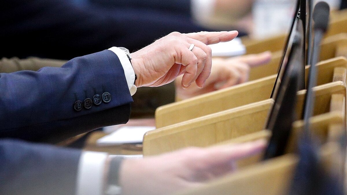    Госдума приняла обращение к Бундестагу единогласно.