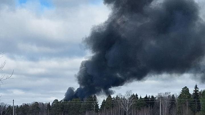 Фото: соцсети