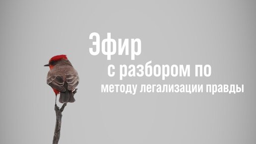 Правда метод