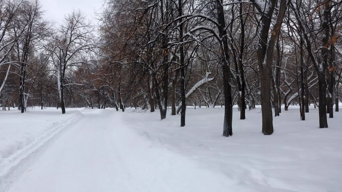     Работы должны быть выполнены не позднее октября текущего года, сообщается на портале госзакупок.