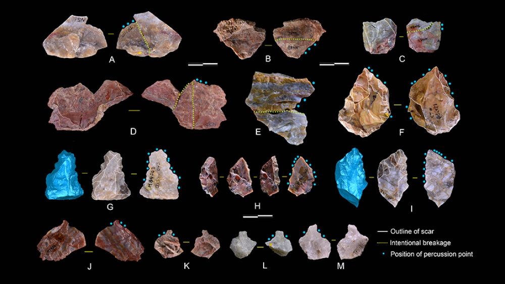     Фото: Ma Dongdong; Ye Zhi / Chinese Academy of Sciences