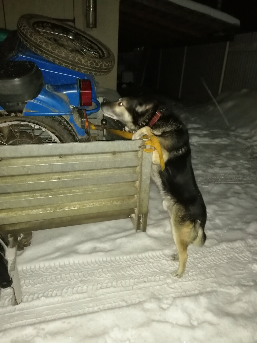 Строгий охранник проверяет груз на въезде на территорию.