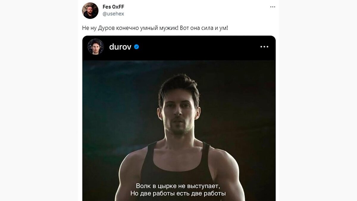 Что за шутки про дурова. Что за шутки про дурова. Дуров прикол. Что за шутки про дурова. Дуров прикол.