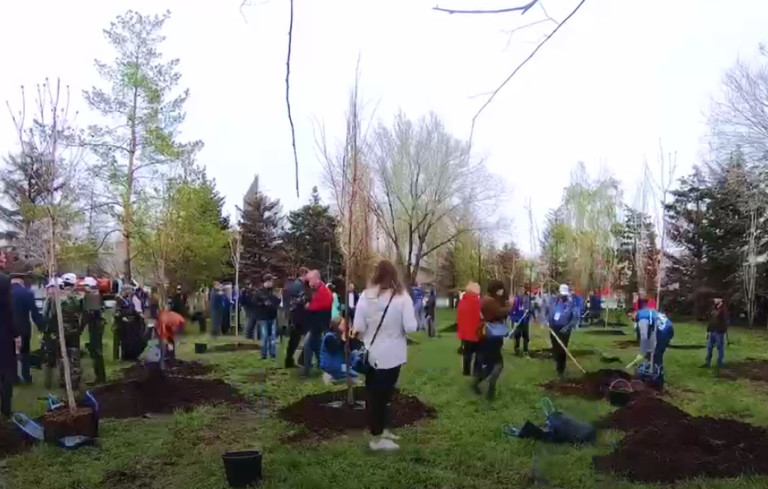    Оренбуржье снова примет участие в Международной акции «Сад Памяти» Кристина Просвиркина