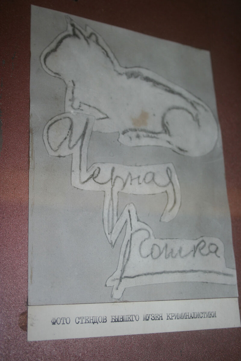 Чья кошка черней?