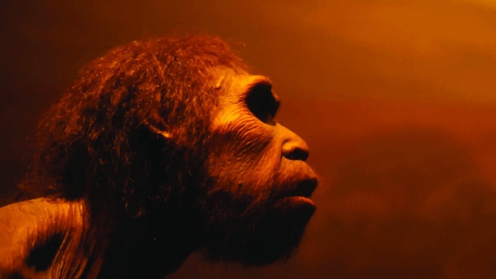    Фото: Shutterstock