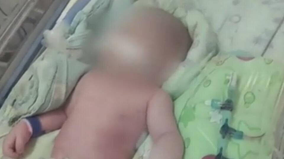 Фото: скриншот видео