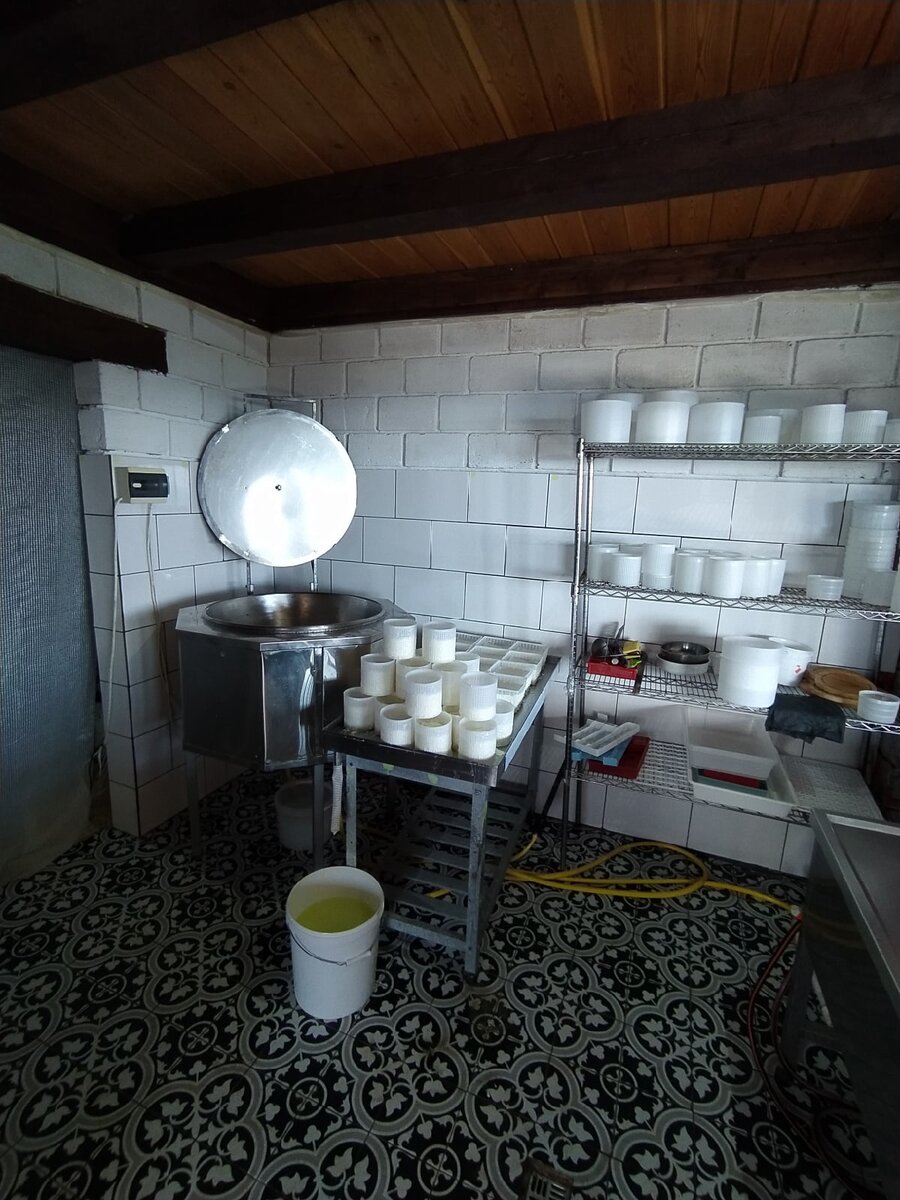 Цех варки сыра