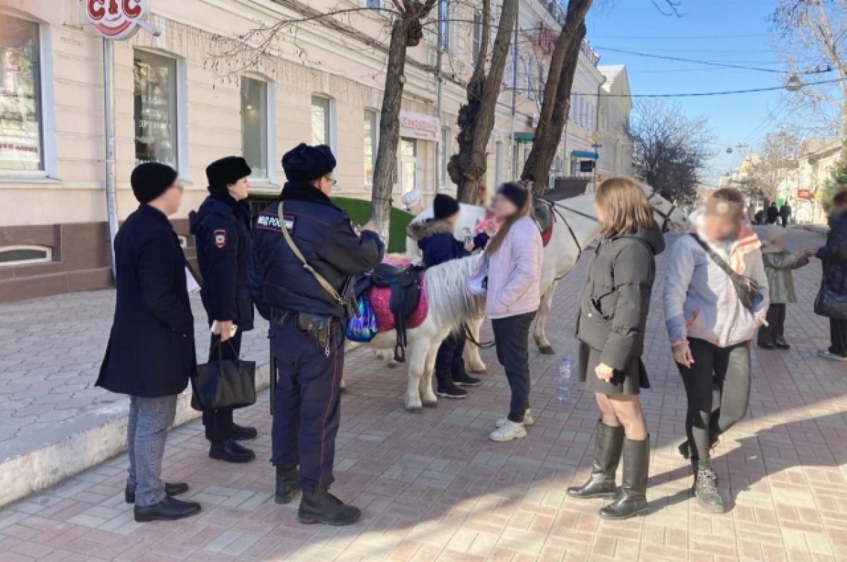    В Астрахани планируют ужесточить контроль за катанием на лошадях